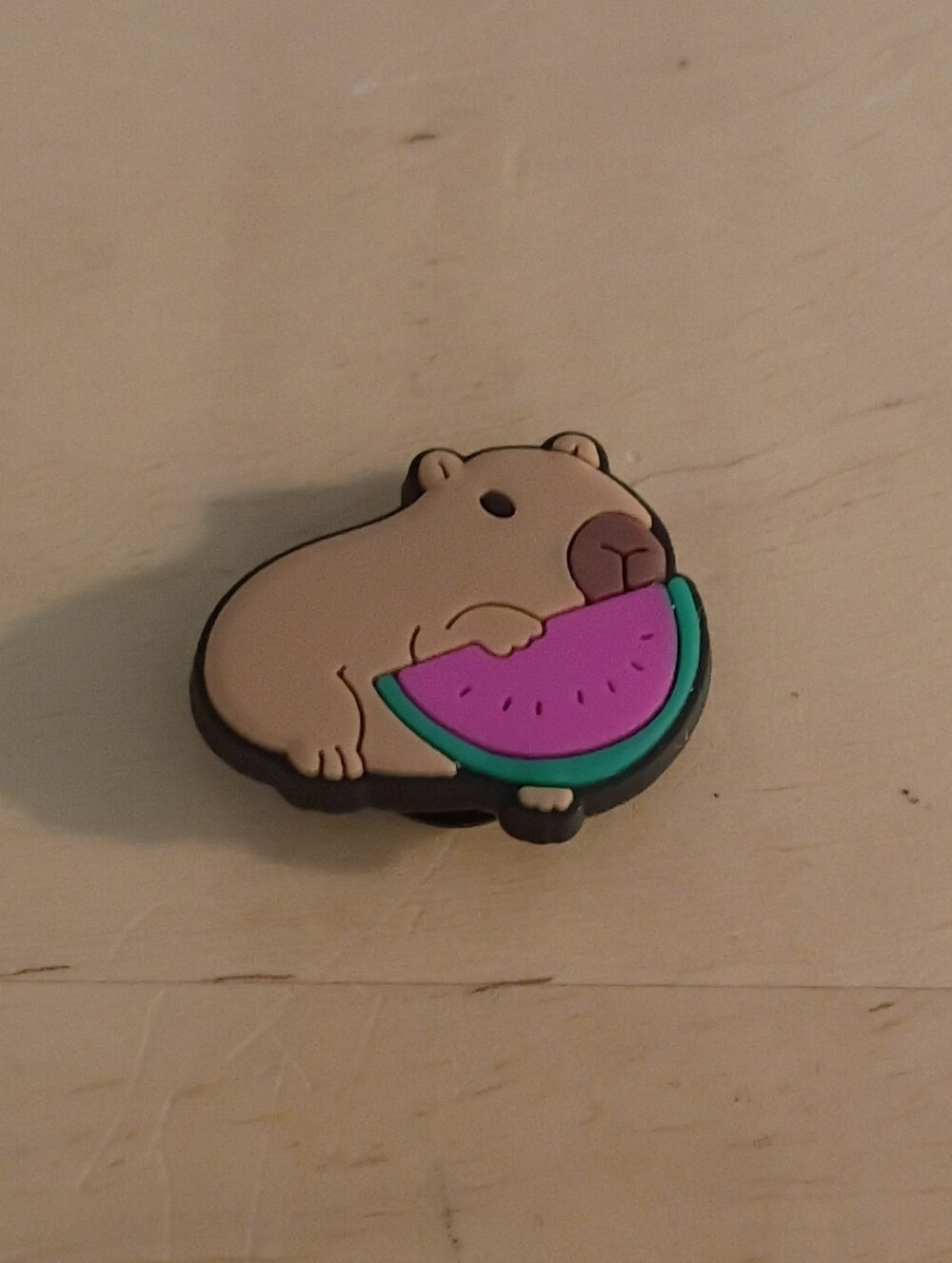 10 for $10 Jibbitz Croc Charms - Capybara w/ Watermelon 3 - New Shoe Charm